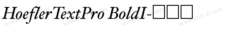 HoeflerTextPro BoldI字体转换